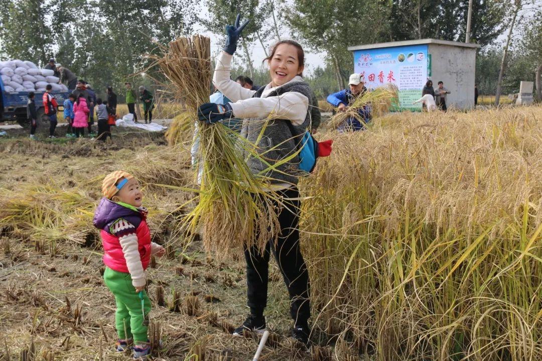 涿州花田路最新动态更新
