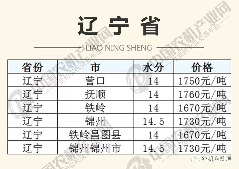 辽宁玉米价格最新行情动态更新🌽📊