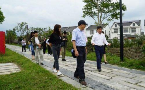 青村镇最新发展规划概览
