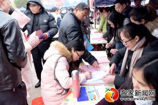 龙南最新招聘热点解析，观点阐述与分析