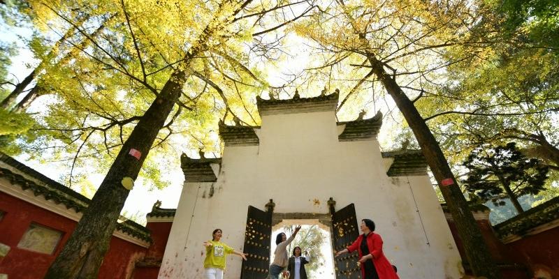 开阳最新新闻动态，学习变化、自信成就感的源泉，正能量与幽默交织