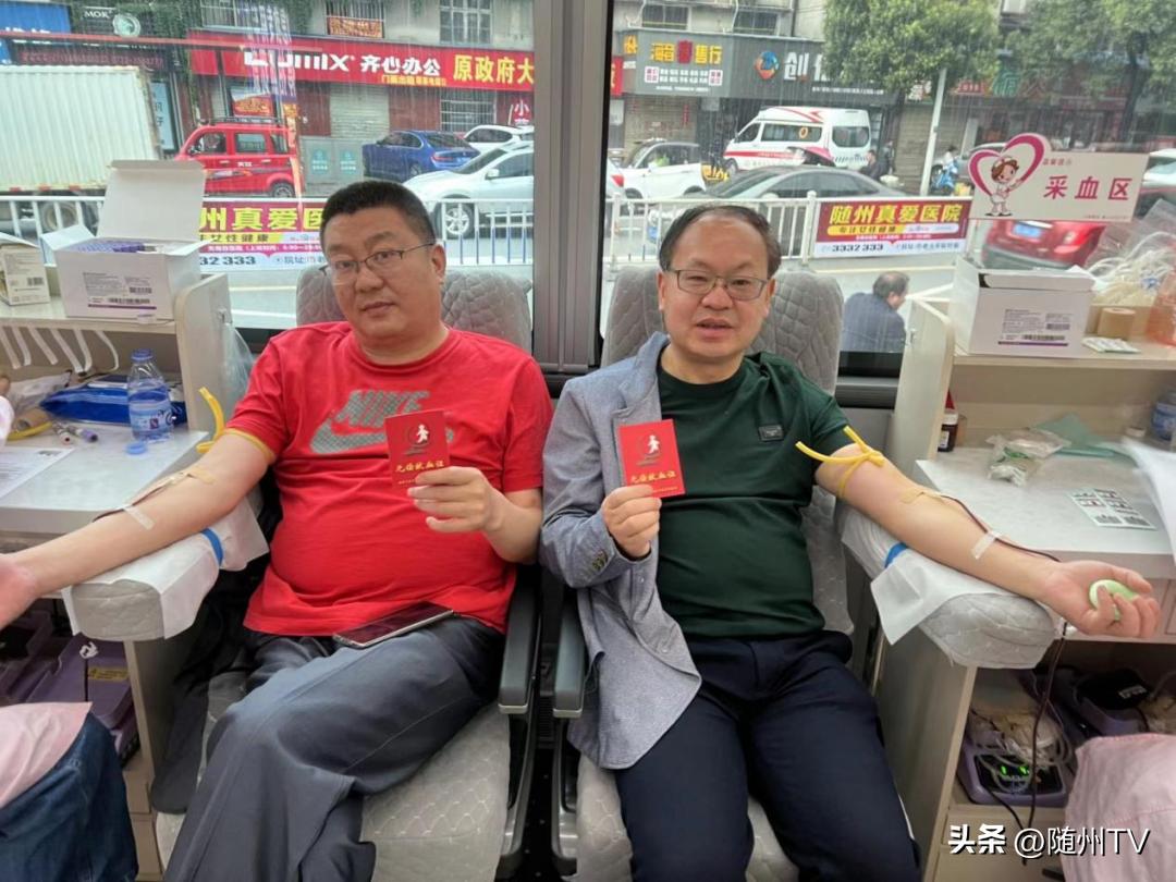 随州干部调整最新动态及步骤指南，初学者与进阶用户必读