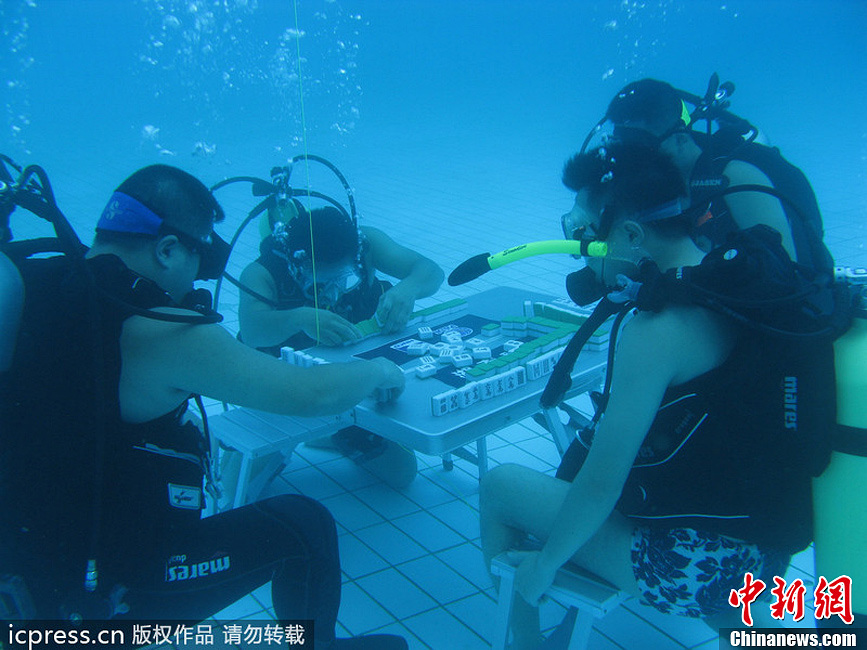 最新潜水装备，水下奇遇与深厚友情的守护者