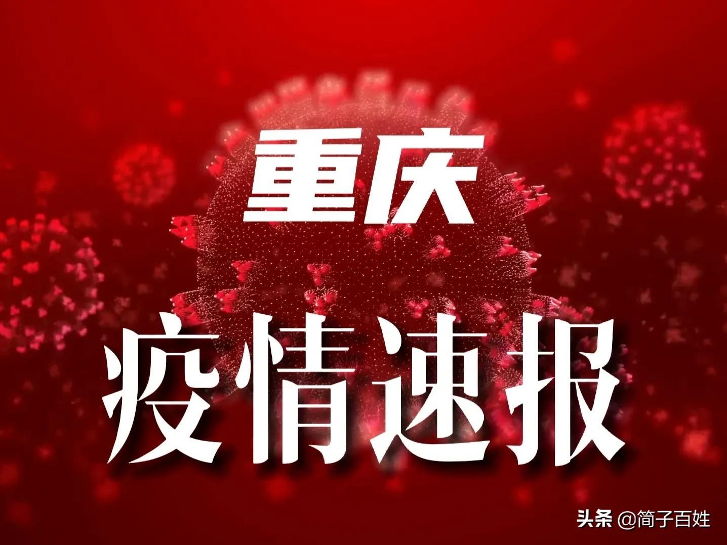 全球最新疫情，理解与应对的多元视角