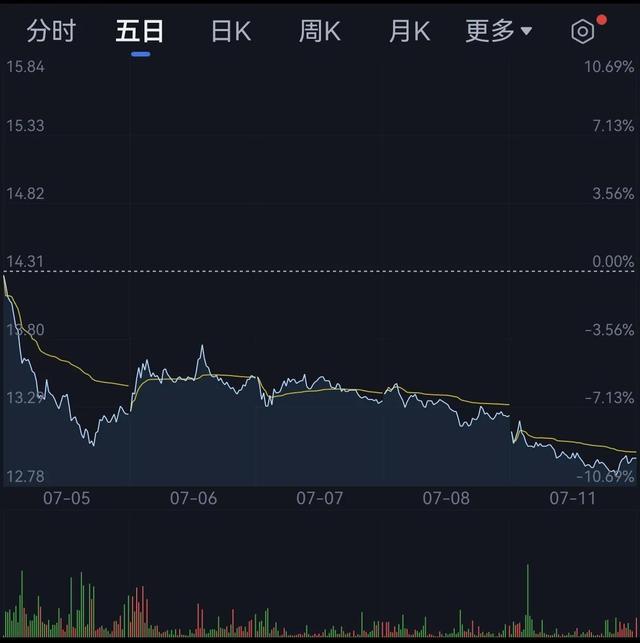 沪市股票最新动态，小巷深处的特色小店探索之旅
