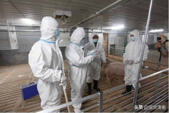 衡阳最新病例，小巷深处的独特邂逅
