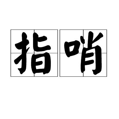 指哨最新，引领时尚潮流的新指向标