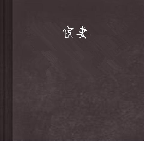 宦妻最新，历史背景、重要事件与地位的深度探究