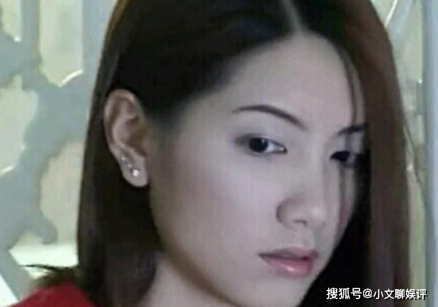 林韦君最新动态，时代之光下的璀璨明星之路