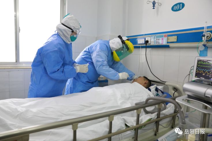 岳阳最新肺炎动态，理解、应对与科普更新
