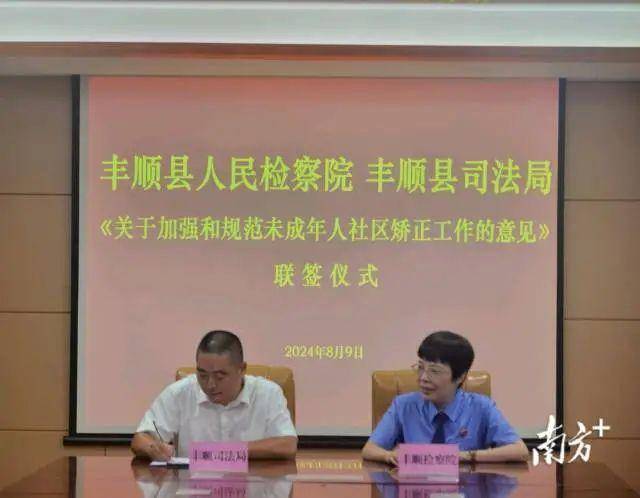 时代浪潮下的丰顺新篇章，最新新闻报道汇总