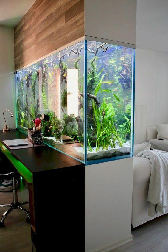 最新鱼缸图片，时尚家居水族艺术的完美展示