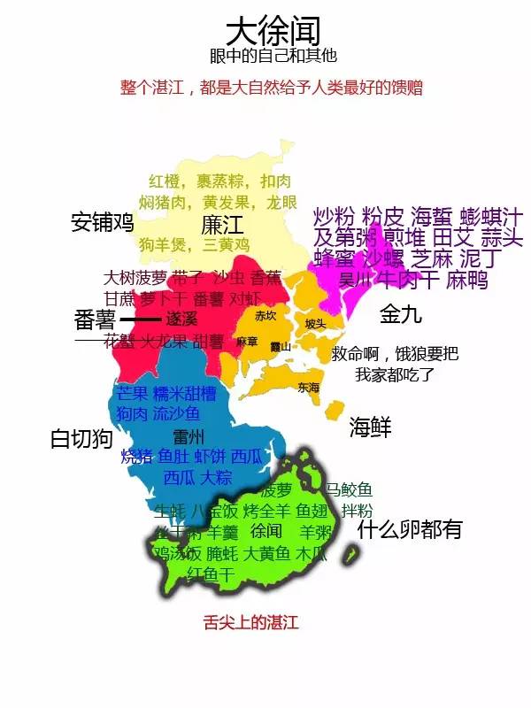 湛江最新疫情背景分析与现状概述