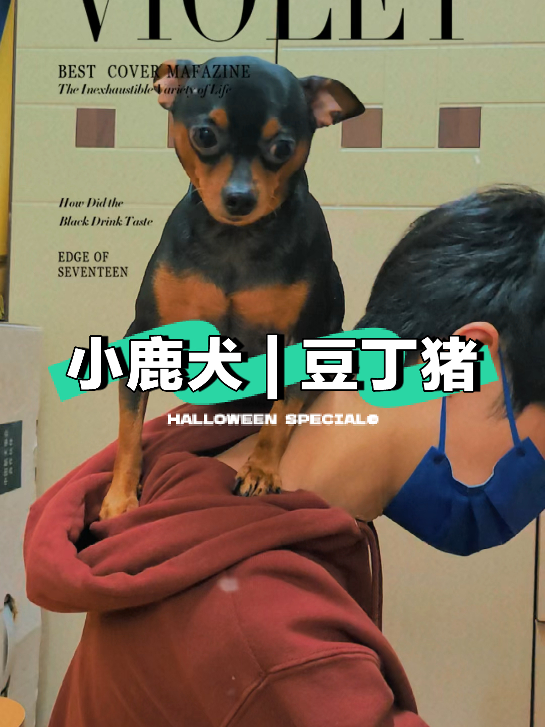 第138页