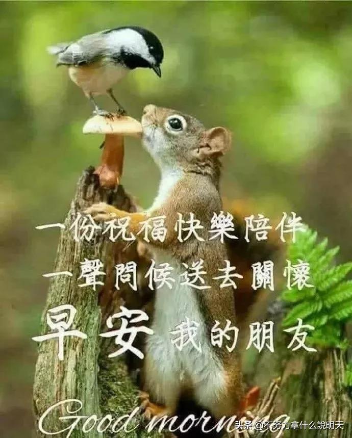 冬天最新问候语集锦