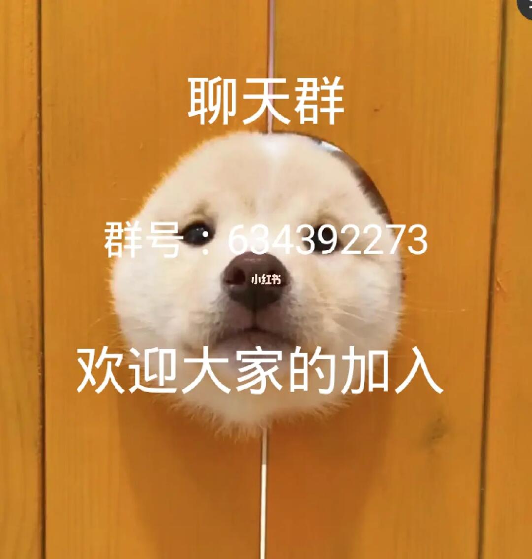 群聊聊天最新，自然美景探索之旅