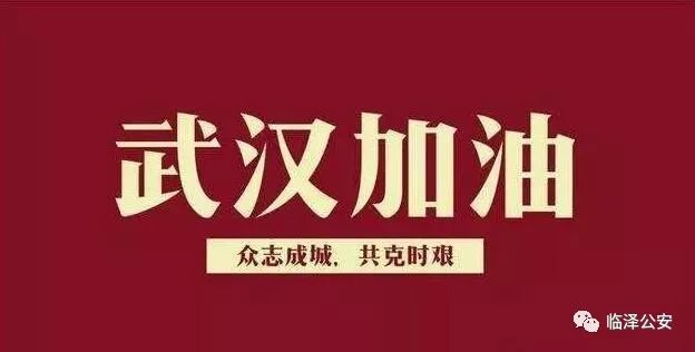 新型肺炎疫情最新动态，全面步骤指南与最新发展