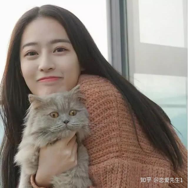 最新女生抱猫头像，流行文化的独特印记风采