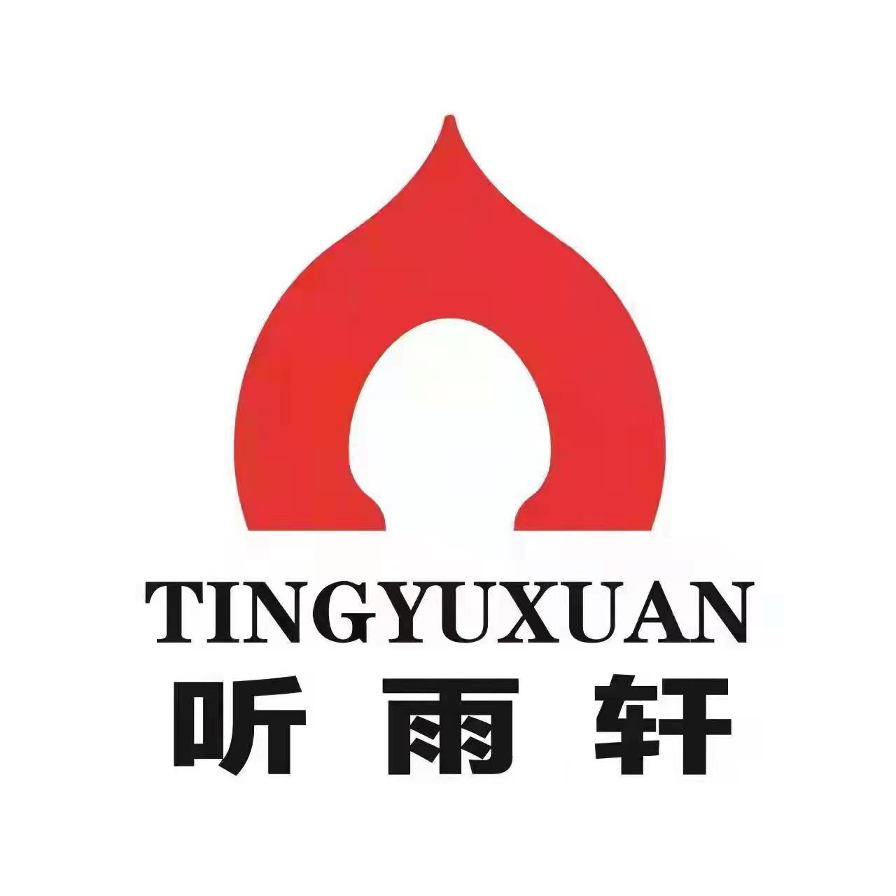 雨轩最新版，技术与文化的融合盛宴